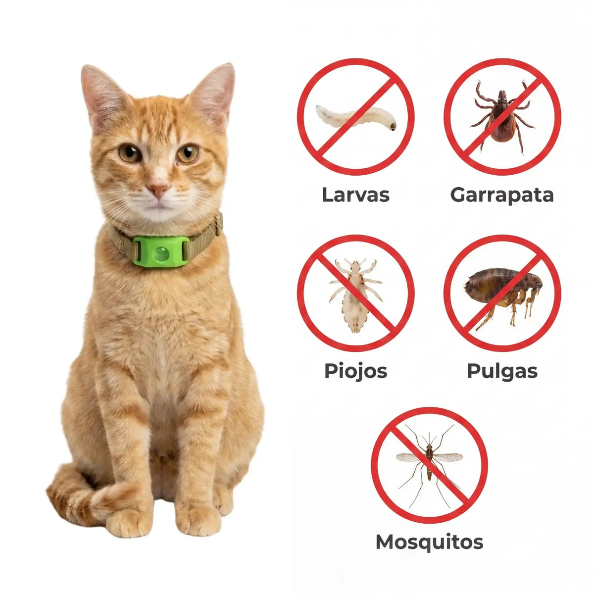 PurrBite™ Kit Antiparásitos Natural
